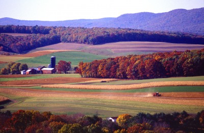 homesteading