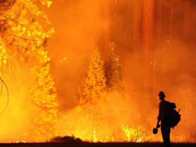 san francisco wild fire