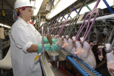USDA poultry