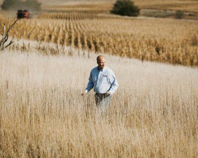 conventional corn farmers gmo seed