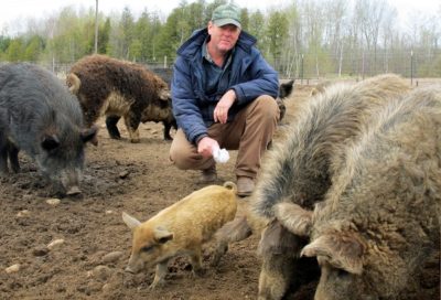 Hog farmer Mark Baker