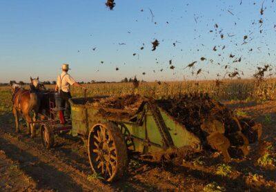 Amish