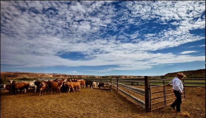 bundy ranch