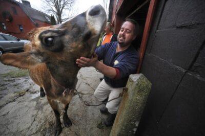 raw milk farmer Dan Brown