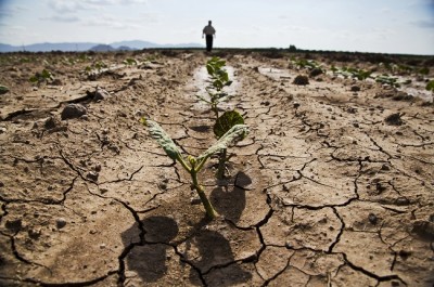 Surviving A Drought On Your Homestead