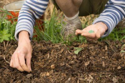 How To Keep Big Ag From Profiting From YOUR Garden