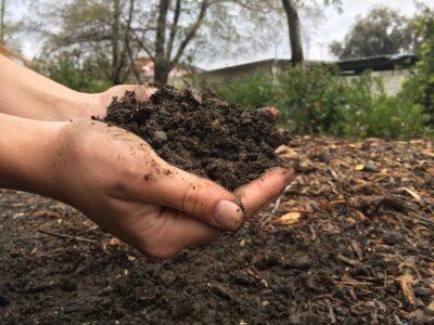 Why Organic Fertilizer Beats Chemical Fertilizer Every Single Time