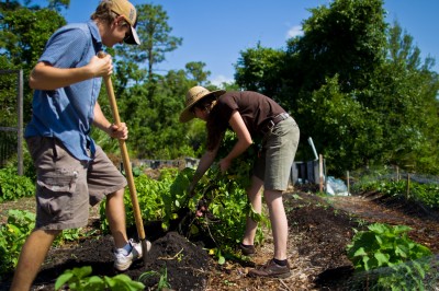 What The Bible Says About Tending The Land