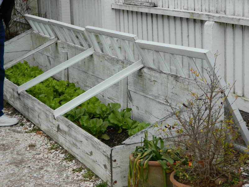 Maximize Your Growing Season And Beat Old Man Winter With A Cold Frame Garden Off The Grid News