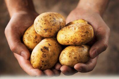 Image source: Potatoes.com