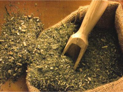 Yerba mate. Image source: ThePlantEater