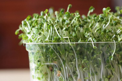 A Beginner’s Guide To Sprouting