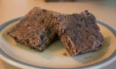 Pemmican. Image source: Gardenvarietymama.com