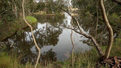 Image source: SMH.com.au