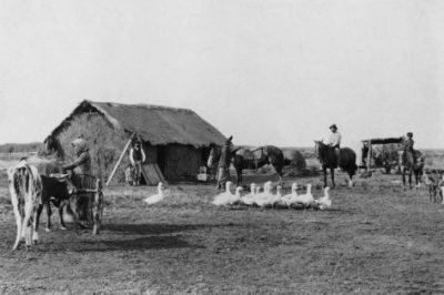 Argentina homestead, 1910