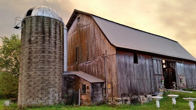 The 3 Best Livestock For New Homesteaders