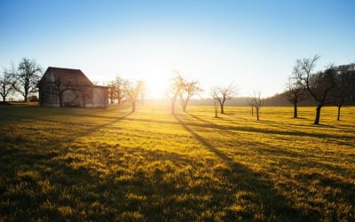 Your First Homestead: Costs You May Not Have Considered