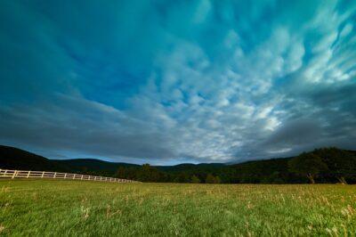 The Incredible Link Between Raw Milk And Soil Health