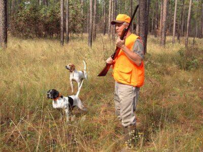 The Best Upland Shotguns You Can Buy For Around $500