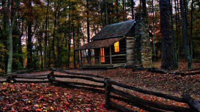 6 Reasons To Start Homesteading This Year (No. 3 Could Save America -- If Everyone Did It) 