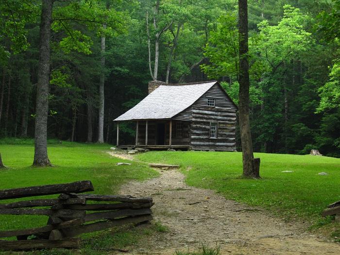 6 Reasons To Start Homesteading This Year (No. 3 Could Save America -- If Everyone Did It)