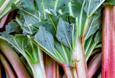 How To Grow Rhubarb, The Perennial Vegetable You Only Plant Once