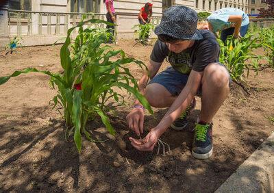 Gardening Wisdom From The Native Americans