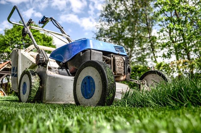 She Forgot To Mow Her Yard. So They Arrested Her, In Front Of Her Kids.