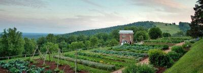 Gardening Wisdom From Thomas Jefferson: 5 Things We Should Learn