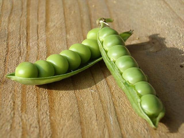 9 Popular Vegetables You Can Plant, From Seed, In July