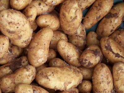 7 Vegetable Pairs You Should NEVER Plant Together (No. 5 Is Where Everyone Messes Up)