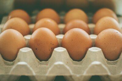 Simple Tricks For Raising THE Healthiest Backyard Eggs