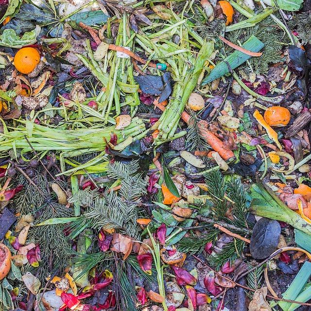 Composting 101: Essential Fall Chores Every Homesteader Should Do