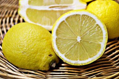 The Fastest Way To Grow Lemon Trees Indoors