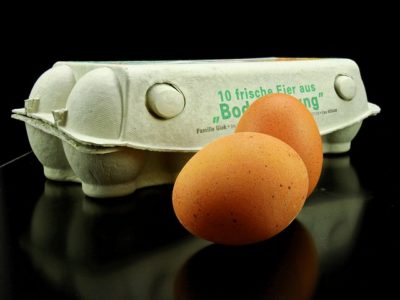 6 Guaranteed Ways To Boost Egg Production During Winter