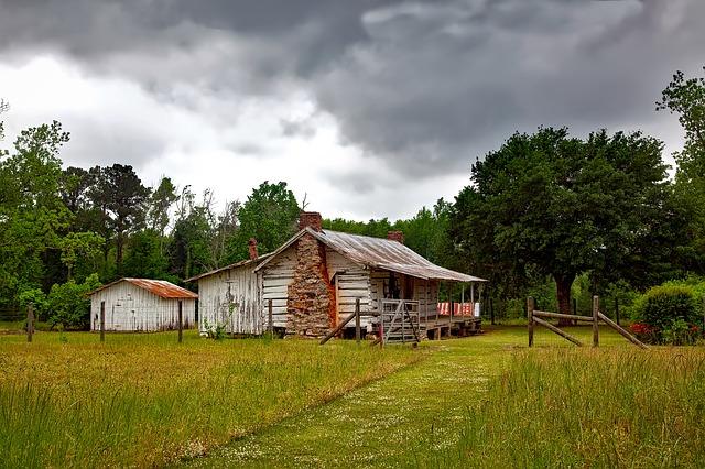 Completely, 100 Percent Off-Grid: 9 Essential Foods You Should Grow