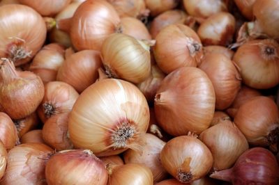 12 Unusual, Off-Grid Uses For Onions (No. 5 – Removes Splinters!)