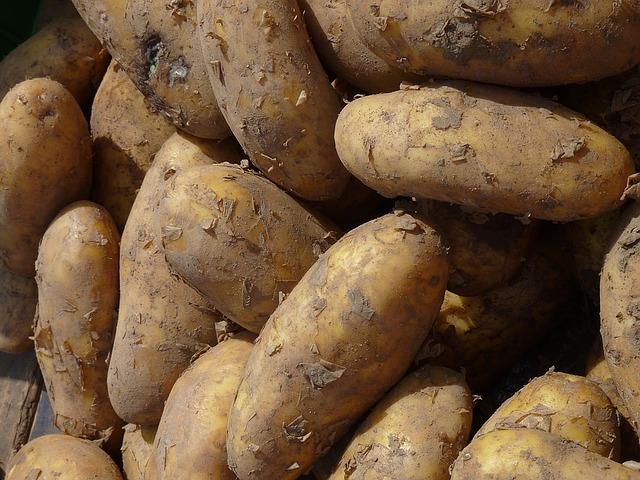 The Best Way To Grow Indoor Potatoes Is In A ... Garbage Bag?