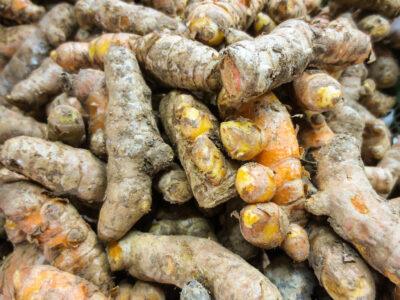 How To Grow Turmeric Indoors (The Secret Is In The Watering)