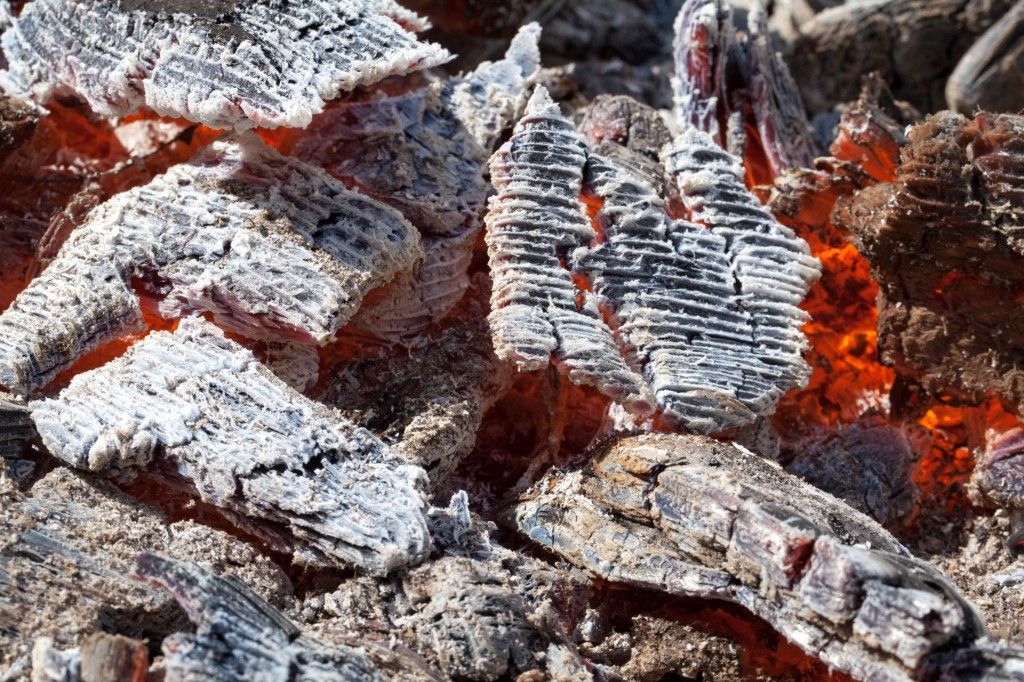 11 Crazy-But-Practical Uses For Wood Ash (Got Pets? Try No. 5)