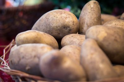 How To Grow Potatoes Indoors, Using Straw & A Garbage Bag