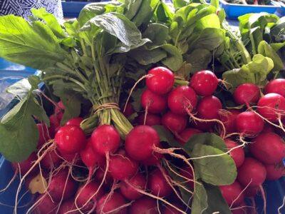 Radishes: The Underrated Indoor Vegetable You Can Grow In 1 Month