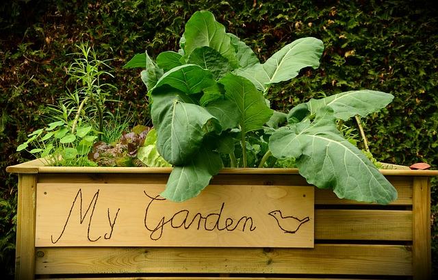 6 Ways To Maximize Your Raised Bed Garden This Year