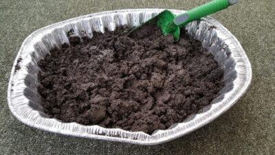 How To Turn Ordinary Garden Soil Into Organic Potting Mix