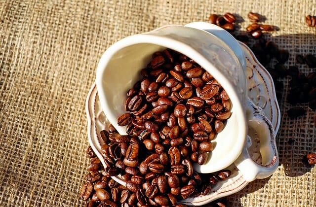8 Coffee Substitutes You Can Grow In ANY Climate