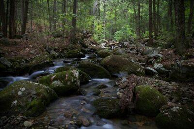 How To Find Fresh Water When There’s Seemingly None Around  