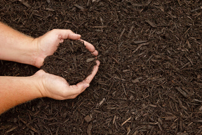 Everything You’ve Wanted To Know About Mulching (But Didn’t Want To Ask)