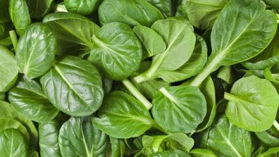 8 Health Benefits Of Spinach You Likely Didn't Know
