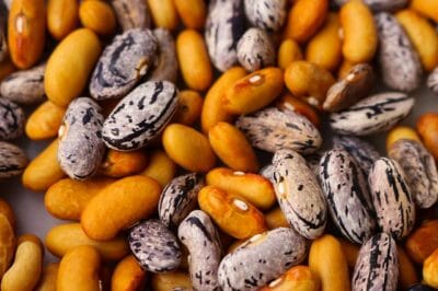 4 Steps To Storing Your Seeds For 30 Years (Or More) 