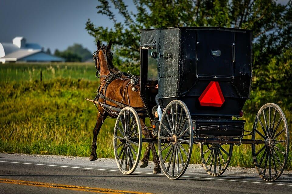 Amish Farmer Sold Herbal Salves. The Feds Sent Him To Prison For 6 Years